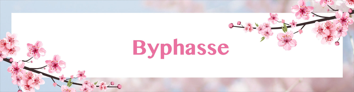 Byphasse