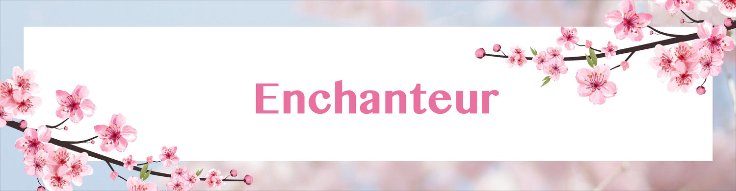 Enchanteur